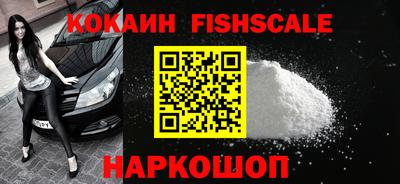 индика Камышлов