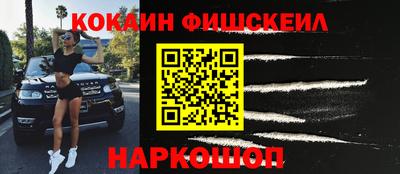 индика Камышлов