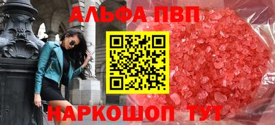 индика Камышлов