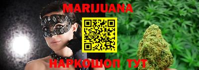 индика Камышлов