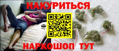 гашик Кандалакша