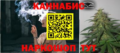 индика Камышлов