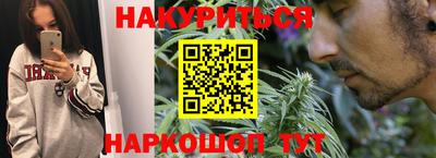 индика Камышлов