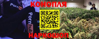 индика Камышлов