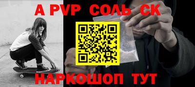 индика Камышлов