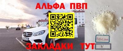 индика Камышлов