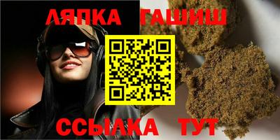 индика Камышлов