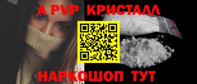 индика Камышлов