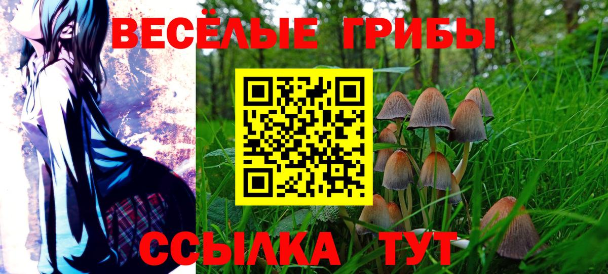 Галлюциногенные грибы Psilocybine cubensis  Вход с VPN  сколько стоит  Кушва 